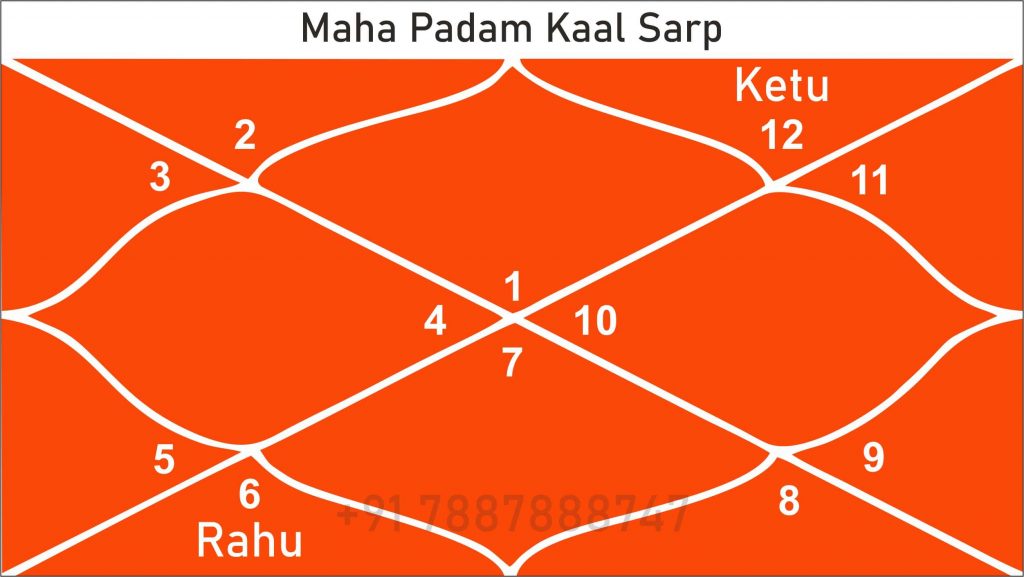MahaPadam kaal sarp yog chart or kundali