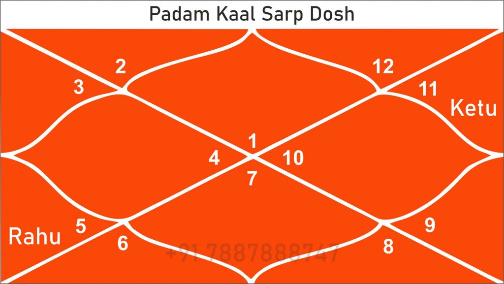 Padam Kaal Sarp Dosh chart or kundali