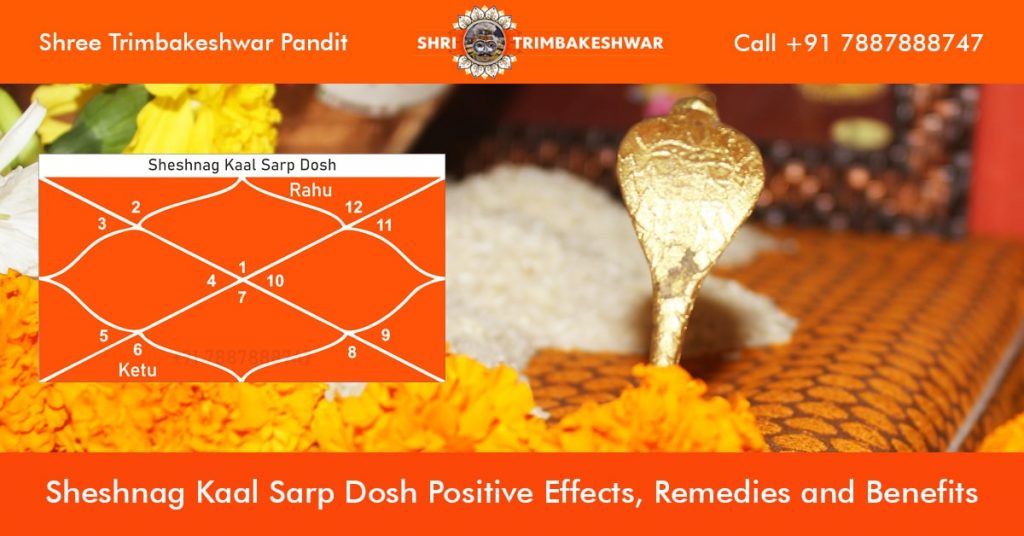 Sheshnag Kaal Sarp Dosh with Remedy & Benefits