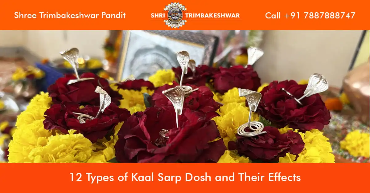 12 Types of Kaal Sarp Dosh and Their Effects