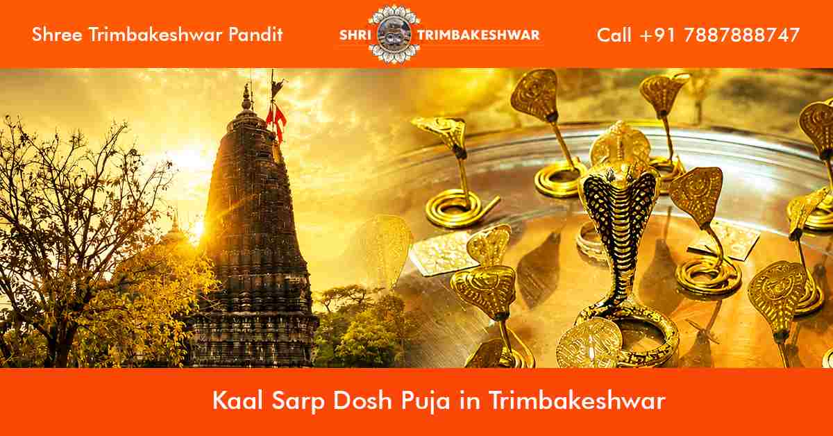 Kaal Sarp Dosh Puja in Trimbakeshwar