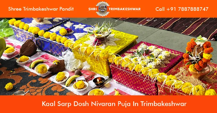 Kaal Sarp Dosh Nivaran Puja In Trimbakeshwar