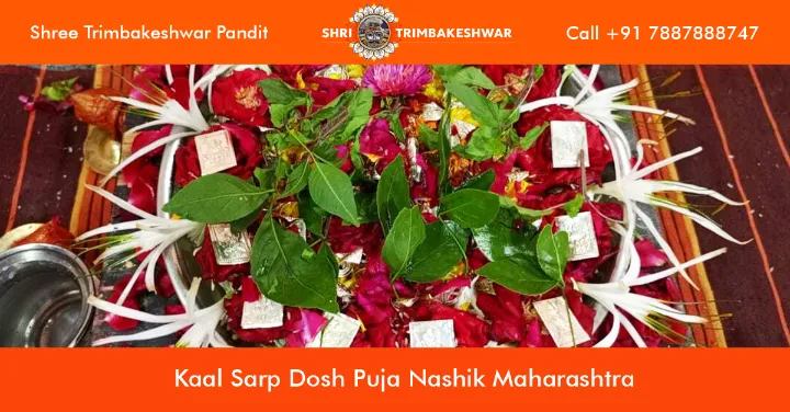 Kaal Sarp Dosh Puja Nashik Maharashtra