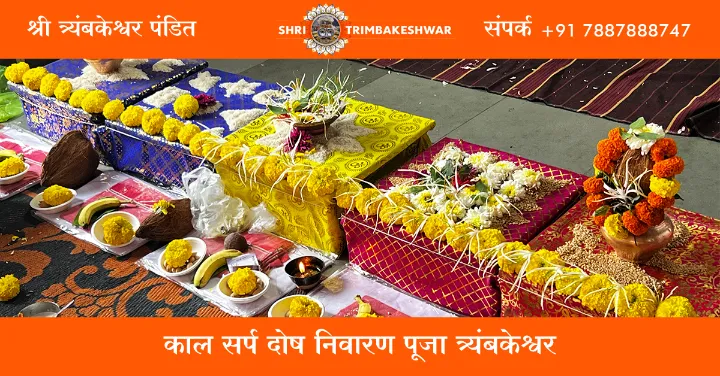 काल सर्प दोष निवारण पूजा त्र्यंबकेश्वर