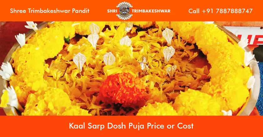 Kaal Sarp Dosh Puja Price or Cost