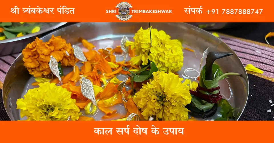 काल सर्प दोष के उपाय